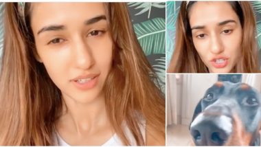 Disha Patani's Funny Lip-Sync to the 'Rasode Mein Kaun Tha' Rap With Her Doggos is Too Cute! (Watch Video)