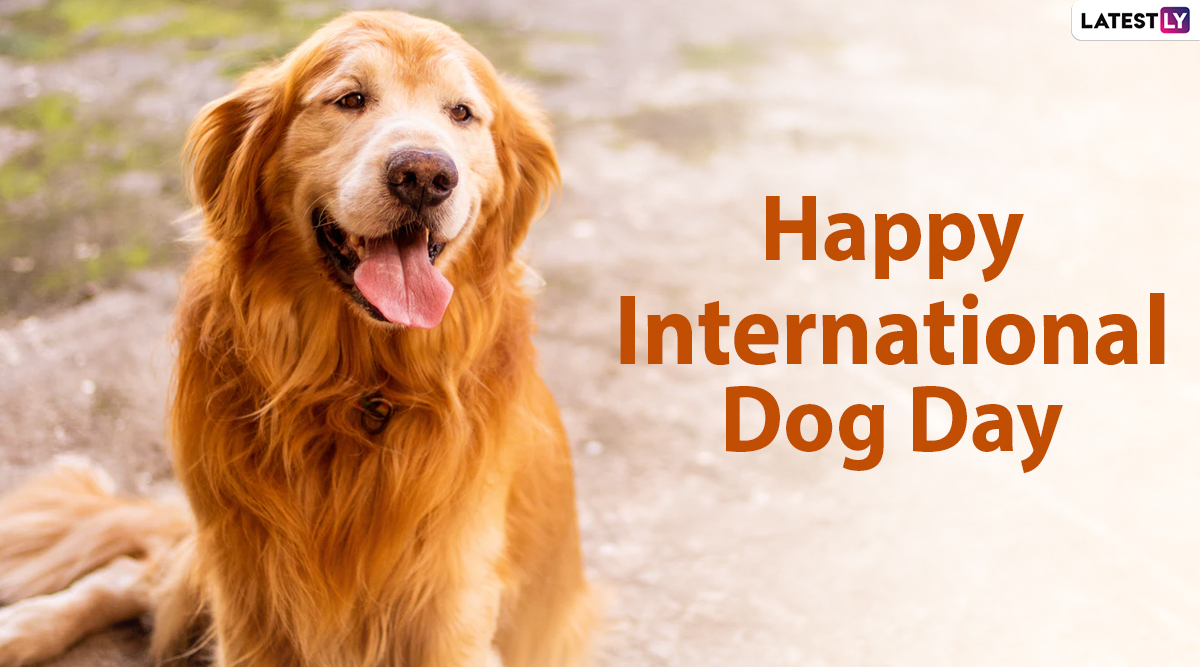 International Dog Day 2020 Images, HD Wallpapers & Wishes for Free