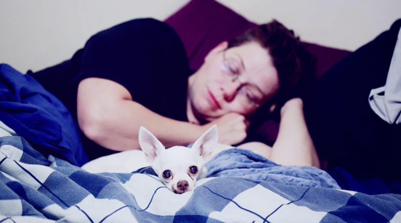 Dogs in Dreams? Know the Meaning And Different Interpretations of Seeing Canines in Sleep