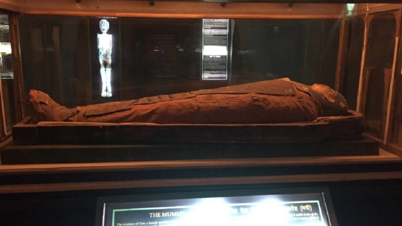 Ancient Egyptian Mummy ‘Tutu’, Facing Threat of Damage, Shifted to Safer Place in Albert Hall Museum