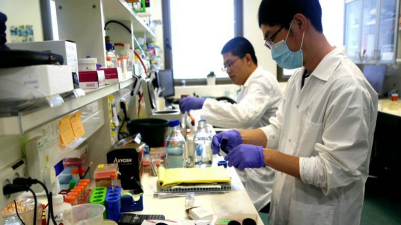 Israel's Laboratory Workers, Involved in COVID-19 Testing, Threaten to Go on Strike Over Low Wages