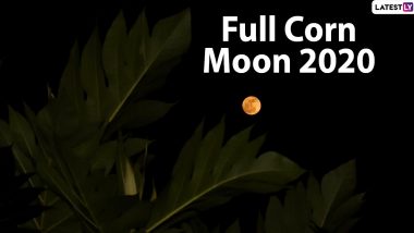 Full Corn Moon 2020 Date and Timings: Know Everything About the Full Moon of September Visible Next Week