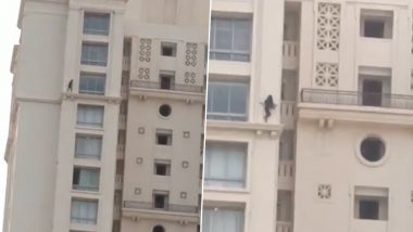 Twitterati Complains to Thane Police After Unverified Video of a Girl Walking Dangerously on 'Hiranandani Estate' Building's Outer Wall Goes Viral