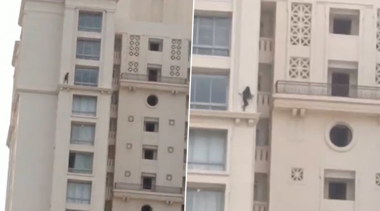 Unverified Video of a Girl Walking Dangerously on Building's Outer Wall is Going Viral