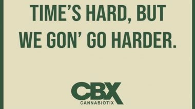 Cannabiotix is Reaching the Highest Realms of the Cannabis Industry