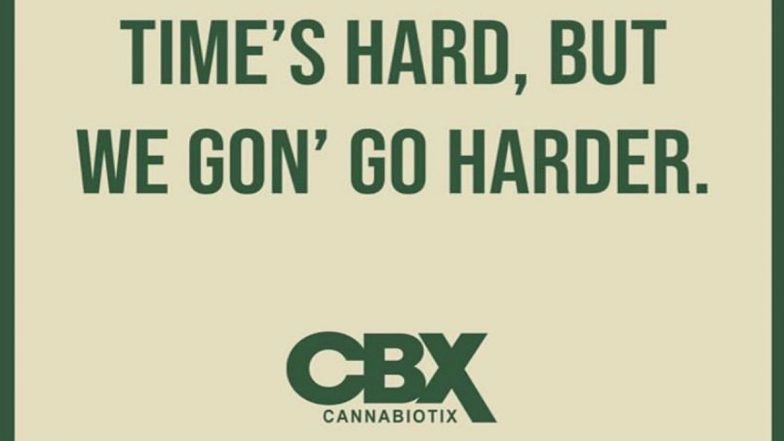 Cannabiotix is Reaching the Highest Realms of the Cannabis Industry