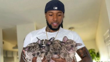 Really Rio & His Exotic French Bulldogs