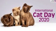 International Cat Day 2020 Date And Significance: Know the History And Activities Related to The Day Celebrating Felines