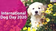 International Dog Day 2020 Date And Significance: Know All About the Observance That Celebrates Our Much Loved Canines