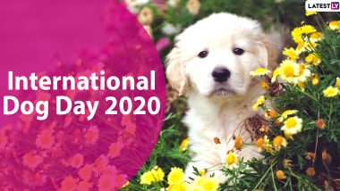 International Dog Day 2020 Date And Significance: Know All About the Observance That Celebrates Our Much Loved Canines