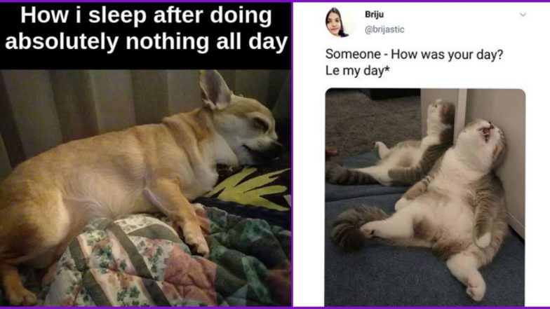 National Lazy Day 2020 Funny Memes and Tweets: Netizens Share Jokes That Every Lazy Bum Will Completely Relate To!