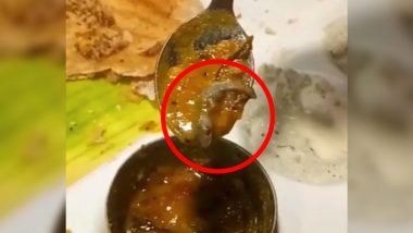 Yuck! Man Finds Dead Lizard in Sambar At Saravana Bhavan Restaurant in Delhi, Says 'Half of It is Missing' (Watch Viral Video)