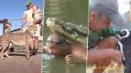 Friendship Day 2020 Special: From Crocodile, Cheetahs to Penguin, Instances of Unlikely Man-Animal Friendship That Proves The Relation Goes Beyond Just Humans (Watch Videos)