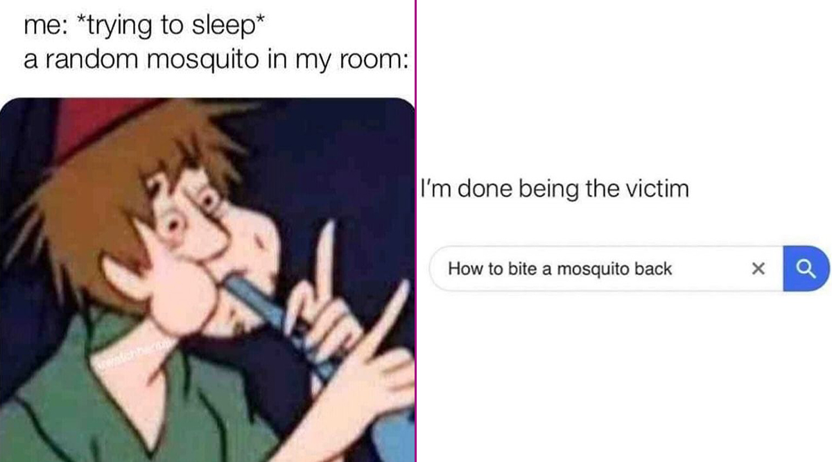 World Mosquito Day 2020 Funny Memes And Jokes About These Stinging Insects That Make Everyone