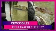 Crocodiles On Karachi's Streets: Are The Reptiles Escapees From Manghopir Shrine in Pakistan? Know The Truth Behind The Viral Video