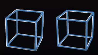 Most Confusing Optical Illusion? Motion Art of Two Still Cubes Appearing to Move in Opposite Directions Will Make Your Head Hurt!