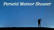 Perseid Meteor Shower in India Date and Timings: Know How and When to Watch The Brightest Celestial Shower From Mumbai, Pune, Bangalore, Delhi, Hyderabad and Other Major Cities