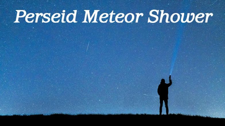 Perseid Meteor Shower in India Date and Timings: Know How and When to Watch The Brightest Celestial Shower From Mumbai, Pune, Bangalore, Delhi, Hyderabad and Other Major Cities
