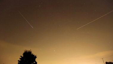 Perseid Meteor Shower Photos: Netizens Share Beautiful Pics From One of the Most Active Annual Celestial Event