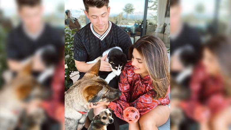 Priyanka Chopra Had a Fabulous Moment With Fine Florals Worth Rs 38,000!