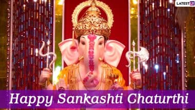 Sankashti Chaturthi August 2020 Date and Shubh Muhurat: Puja Vidhi and Significance of This Auspicious Day of Heramba Sankashti