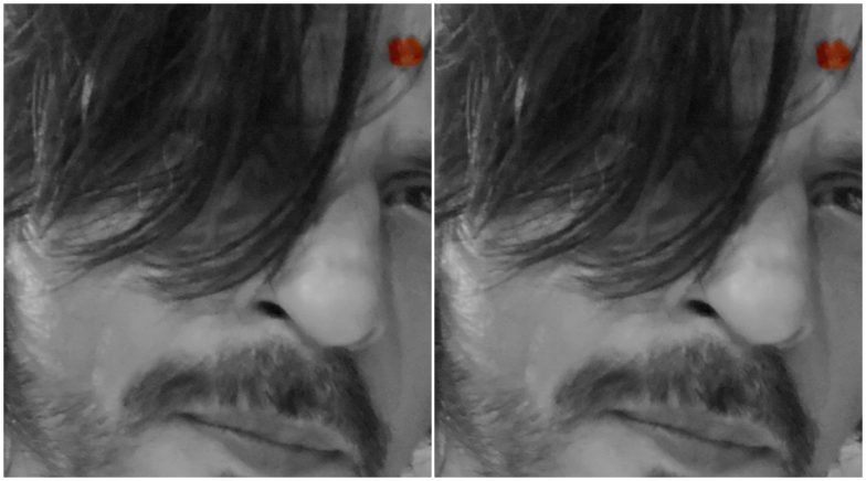 Ganesh Visarjan: Shah Rukh Khan Shares a Warm Wish