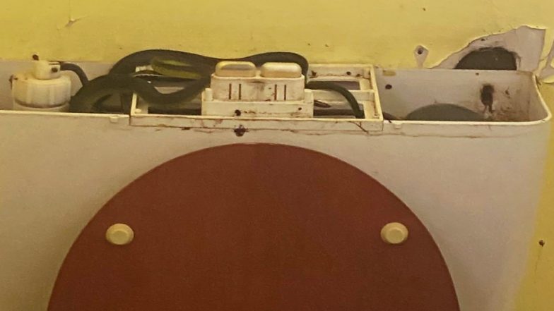 Ssscary Nightmare Coming True! Queensland Woman Finds Four Snakes Coiled in Her 'Unflushable' Toilet Tank (View Pic)