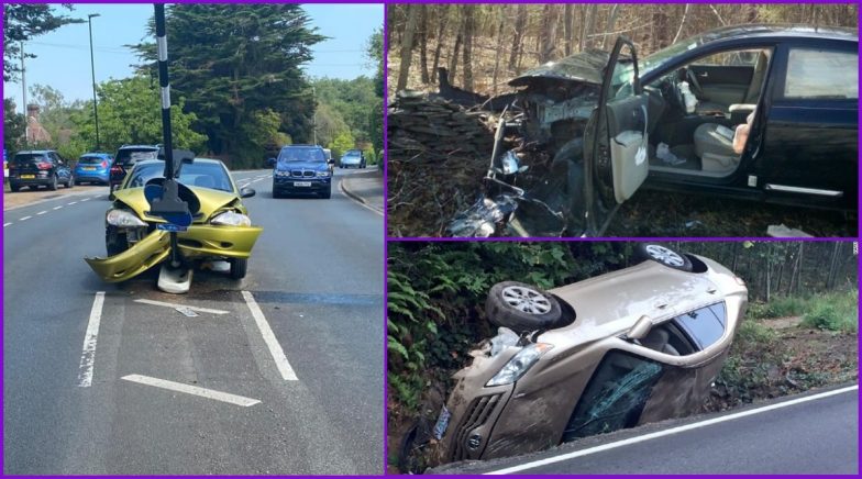 Man Finds Spider Inside Car, Crashes Car in Signpost! Similar Cases of Spiders Causing Accidents