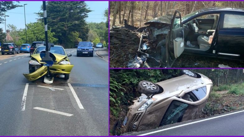 Man Finds Spider Inside Car, Crashes Car in Signpost! 3 Other Times When Creepy Spiders Have Become The Unusual Suspects in Major Car Accidents (Check Pics and Video)