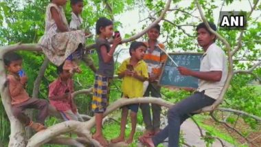 Online Classes From Tree Top: Maharashtra Man Imparts Lessons to Children Using Smartphones While Sitting Atop a Tree to Get Better Network Connectivity, View Pics