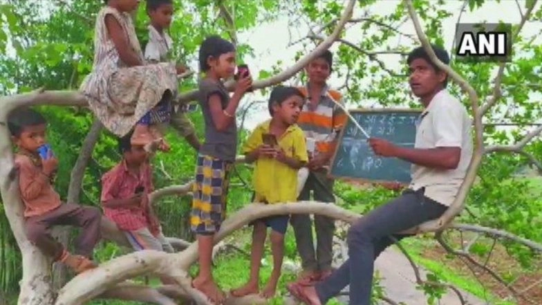 Online Classes From Tree Top: Maharashtra Man Imparts Lessons to Children Using Smartphones While Sitting Atop a Tree to Get Better Network Connectivity, View Pics