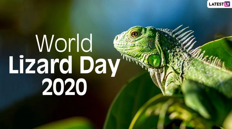 World Lizard Day 2020 Facts: Know Interesting Things About These Squamate Reptiles
