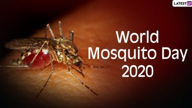 World Mosquito Day 2020: Quotes And Slogans to Raise Awareness About Preventing Diseases Caused by the Deadly Insect