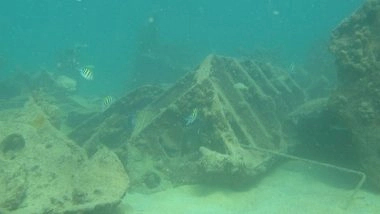 Fifi Wreck Site, the History and Present