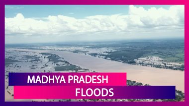 Madhya Pradesh Floods: Shivaling In Pashupatinath Temple Partially In Water, IAF Airlifts People