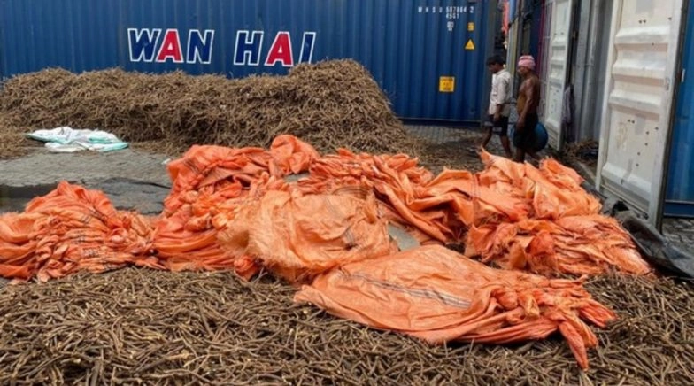 Mumbai: Drugs Worth Rs 1,000 Crores from Afghanistan Seized at Nhava Sheva Port