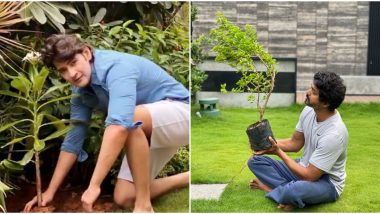 Thalapathy Vijay Takes Mahesh Babu's #GreenIndiaChallenge, Shares Pictures of Him Planting Saplings (View Tweet)