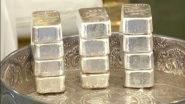 Ahmedabad Jains Give 24 Kg of Silver Bricks for Construction of Ram Temple in Ayodhya
