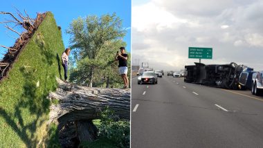 Utah Winds: Trucks Flipped, Trees Uprooted as State Faces Hurricane-Like Gusts of Upto 99 Mph (See Pics & Videos)