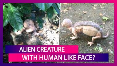 Alien Creature With Human-Like Face Attacking Farmers In Rajasthan? Here’s The Truth Behind The Viral Picture