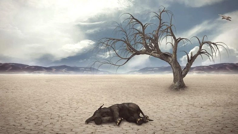 Second Wave of Animal Extinction is Coming: 558 Mammals Could Go Extinct by 2021 Says Study; Sir David Attenborough Warns Similar Mass Extinction For One Million Species!&nbsp;
