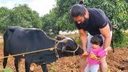 KGF 2 Star Yash Helping His Daughter Ayra Feed a Cow Is the Cutest Pic on the Internet Today