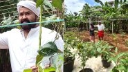 Mohanlal Enjoys Organic Farming At Home, Gives Fans a Glimpse Of His Fresh Produce (View Pics)
