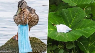 Photographer Captures Shocking Images Showing Impact of Improper Mask Disposal on Wildlife! Here's How to Dispose off PPE Kits & Latex Gloves Right Way to Protect the Environment