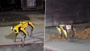 Boston Dynamics&rsquo; &lsquo;Spot&rsquo; Robot Dog Spotted Roaming on the Street, Viral Video of the Four-Legged Yellow Robot Ambling Down the Sidewalk Triggers Fear Among Netizens