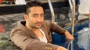 Shaheer Sheikh On Yeh Rishtey Hain Pyaar Ke Off Air 'I Like Doing Stories With A Definite Start and End'