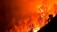 Greece Wildfires: New Blaze Breaks Out on Evia Island