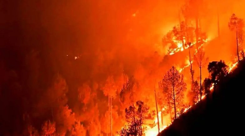 US Wildfires: Blaze Blasting Through West Draw States to Lend Support, 5 Firefighters Injured While Fighting Massive Blaze in Montana