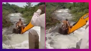Telangana Cop Risks Life, Rescues Dog Stuck In Bushes After Heavy Rains; Netizens Praise The Brave Official As The Video Goes Viral