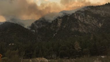 El Dorado Fire in California Caused by Explosive at Gender Reveal Party: Times Parents’ Obsession to Announce Sex of Unborn Child Caused Trouble (Watch Videos)